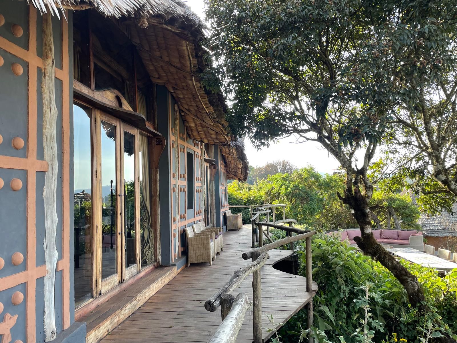 🌿 L’Étoile Verte du Guide Michelin : quand la gastronomie devient durable